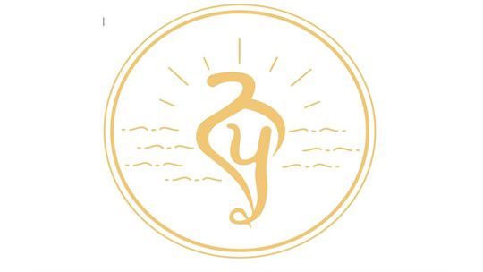 Naad Pargaas USA logo